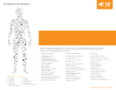 TE Connectivity Medical Device Sensors Solutions Sell Sheet