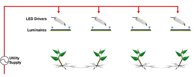 Figure 2: The conventional distributed power topology used in horticultural lighting